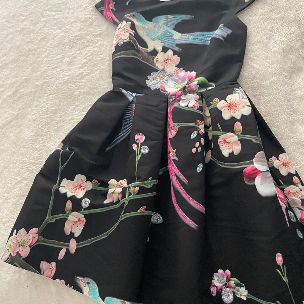 Ted Baker dress
